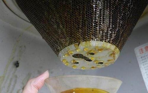 油煙機(jī)清洗